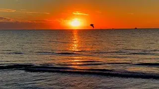 Exploring The Beautiful, Sunny and Friendly Clearwater Florida
