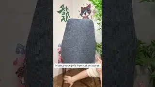 How to Protect Your Sofa from Cat Scratches with This Sofa Cover!  #cat #couch #pets