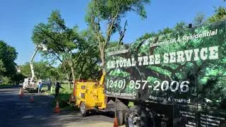 Emergency San Antonio Tree Service | (210) 857-2006
