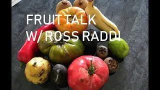 Fruit Talk w/ Ross Raddi -- EP: 03 Winterizing Figs