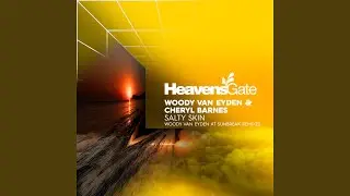 Salty Skin (Woody van Eyden at Sunbreak Remix)