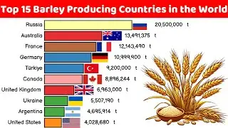 Top 15 Barley Producing Countries in the World