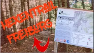 Hexentrail | perfekt auch f&uuml;r Anf&auml;nger | mtb Freiburg e.V.