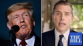 Trump SHREDS Hunter Biden artwork as a '$500,00 bribe the fake-news media thinks is ok'