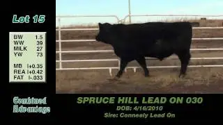 Lot 15: SPRUCE HILL LEAD ON 030