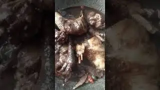 native chicken dinuguan #nativechickendinuguan #food