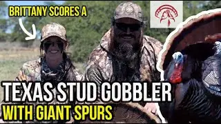 Texas STUD Gobbler with HUGE Spurs | Strut Commander