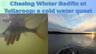 Chasing Winter Redfin at Tullaroop: a cold water quest