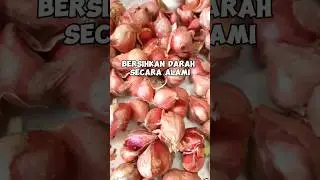 Cuci Darah Secara Alami #darah #cucidarah #bersih #alami #drzaidulakbar #shortvideo #kisashaufa