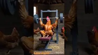 murga gym me gaya tab #aivideo #shortvideo #music