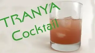 Tranya Recipe - Cocktail Tutorial