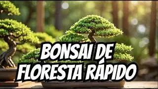 🌳 COMO FAZER o BONSAI de FLORESTA (YOSE-UE) – FORMA MAIS RÁPIDA 🪴 | TRUQUE PRO #BonsaiBosque