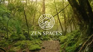 Japan Moss Forest &mdash; Cinematic Jazz Ambience | Zen Spaces