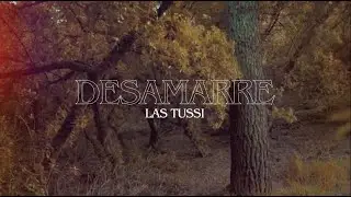 LasTussi / Desamarre (Video Oficial)