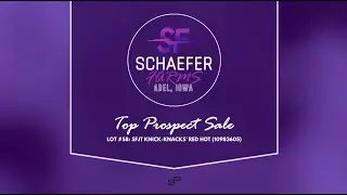 Schaefer Farms - Top Prospect Lot #58