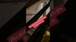 Pillados Infraganti !!!