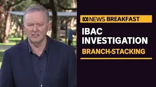 Labor Leader on MP Anthony Byrne's resignation from powerful committee | ABC News