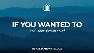 YVO - If You Wanted To (feat. flower thief)