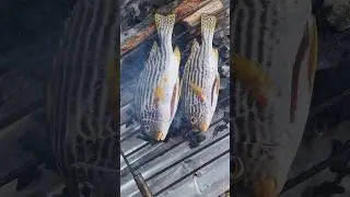 LIPTI / SWEETLIPS FISH / INIHAW #liptifish #sweetlipsfish #food
