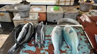 Exploring fish market#fish #marketing #seafood 