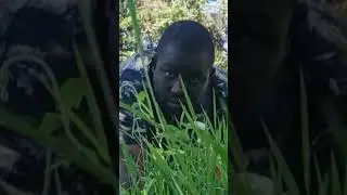 #shorst #funny #mcfunny #afrobeatmusic #automobile #comedy #comedymc #afrobeatsongs #dogsrock