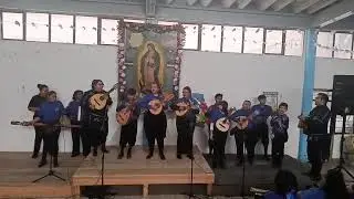 Estudiantinas y tunas mexicanas festival col virgencitas 1ra parte