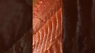 Будьте уверены, что благодаря BLUEFIN на вашем столе всегда свежайшие блюда и деликатесы!