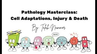 Pathological Principles (Cell Adaptations, Injury, and Death) | Talah Nammor | POD 231