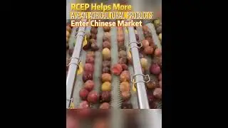 #RCEP helps more #ASEAN #agricultural #products enter #Chinese #market RCEP #trade #2023