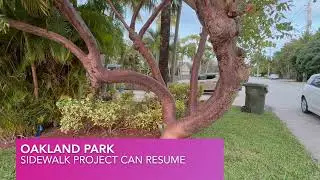 Judge Allows Oakland Park Sidewalk Project to Resume
