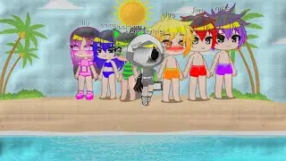 grayberry and friends go to the beach BTW every one has a voice