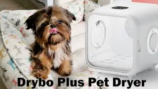 Homerunpet Drybo Plus Pet Dryer For my Shih Tzu Puppy
