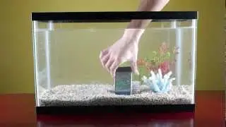iOttie Waterproof Skin for iPhone 4S: Taking pictures underwater