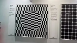 Floating Circle, Grid Illusion, Cafe Wall Illusion Bulging squares