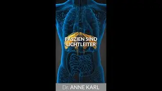 Faszien als Lichtleiter: Die Rolle der Biophotonen | Dr. Anne Karl