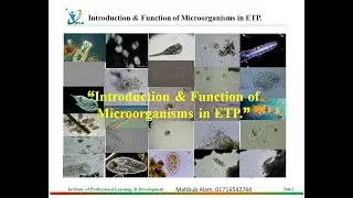An Effective Training on Introduction & Function of Microorganisms in ETP.