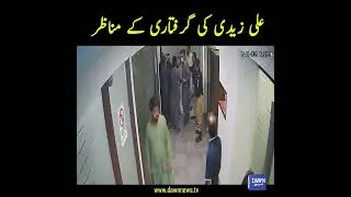 Ali Zaidi Ki Giraftari Kay Manazir | Dawn News