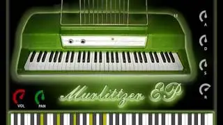 Merlittzer VST by bigcat Instruments