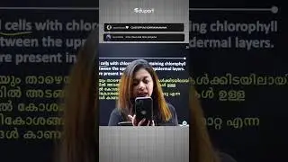 Sruthi miss thug reply 🔥🔥🔥 #sruthi_miss | SSLC 2024