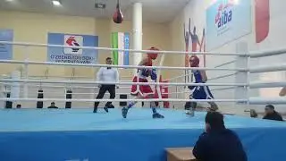 Бокс Аслан 43 кг