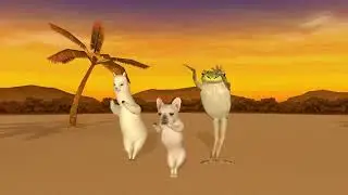 xua xua piao piao bei feing