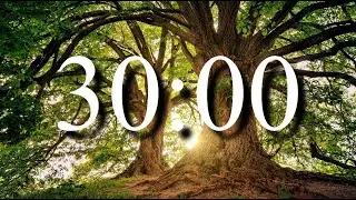 30-Minute Countdown Timer ⏳ | Focus & Productivity