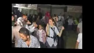 8.BİŞEK KÖYÜ BAHAR ŞENLİĞİ VİDOLARI