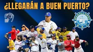 LVBP Magallanes: Tripulación renovada ¿Listos para luchar por el título?