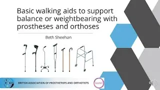 Basic walking aids to support balance or weightbearing with prostheses and orthoses