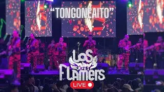 LOS FLAMERS - TONGONEAITO (LIVE)