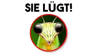 Zu was dieses INSEKT f&auml;hig ist, SCHOCKIERT die Wissenschaft!