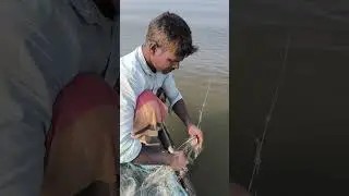 The beauty of fishing life ❤️ #handfish #fishing