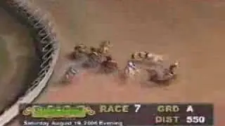 GREYHOUND DISASTER