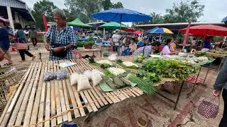 ตลาดนัดยามเช้าบ้านปลาค้าว อ.พนา  #เห็ดเผาะ โคกมีหลาย อาหารพื้นบ้านๆหลากหลาย